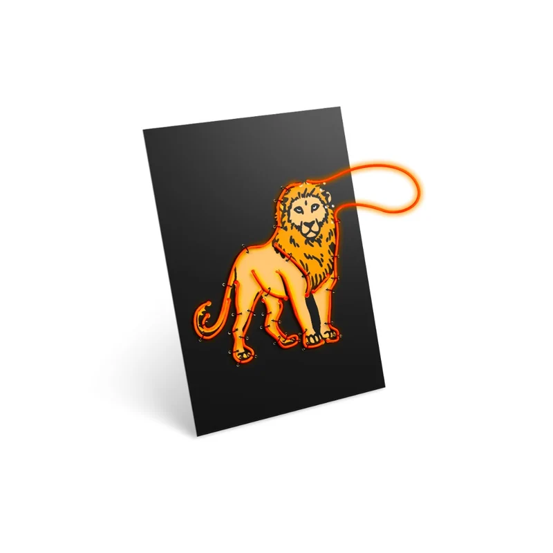 Kidywolf Kidyneon Illuminated Drawing Kit