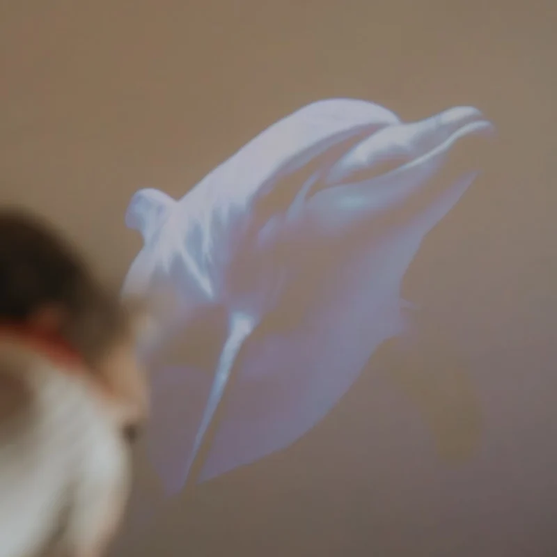 Kidywolf Kidystar Image Projector