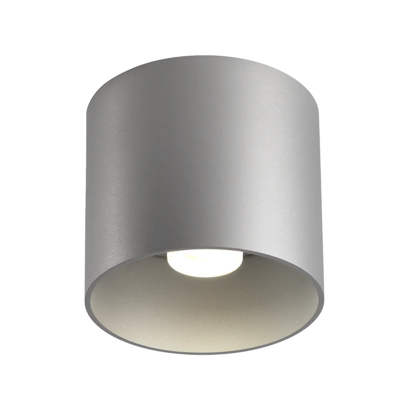 Wever & Ducré Ray LED DALI Ceiling Lamp