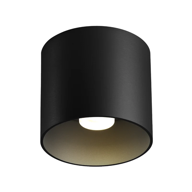 Wever & Ducré Ray LED DALI Ceiling Lamp