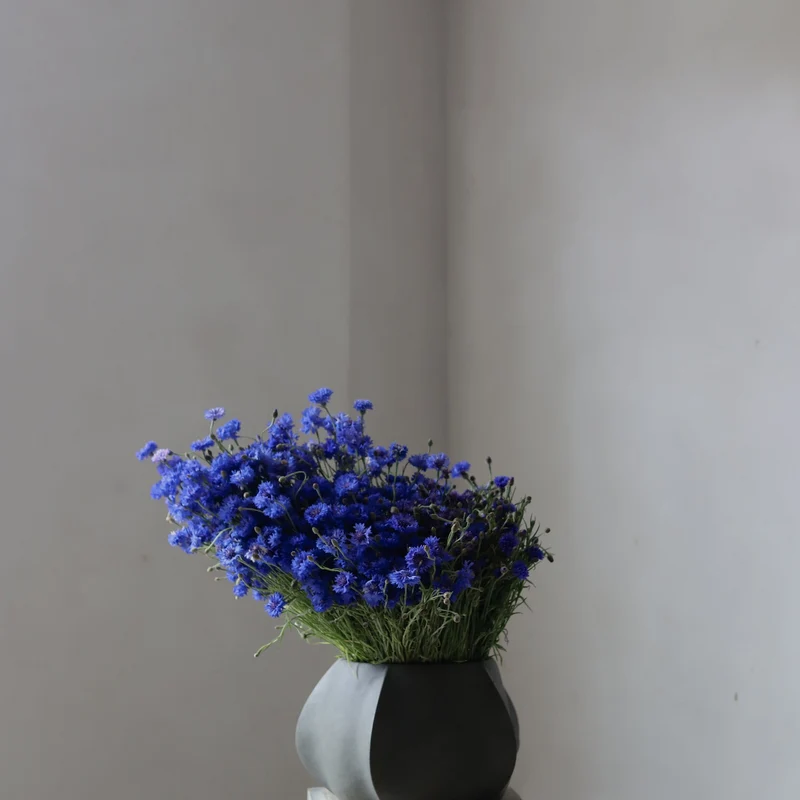 101 Copenhagen Arket Plant Pot