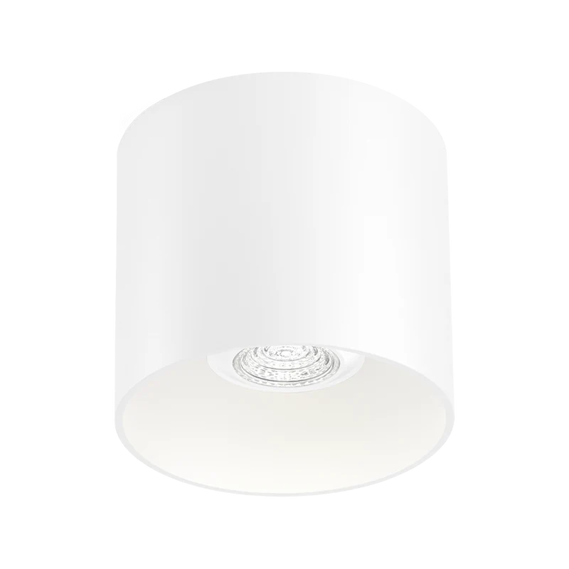 Wever & Ducré Ray PAR16 1.0 Ceiling Lamp