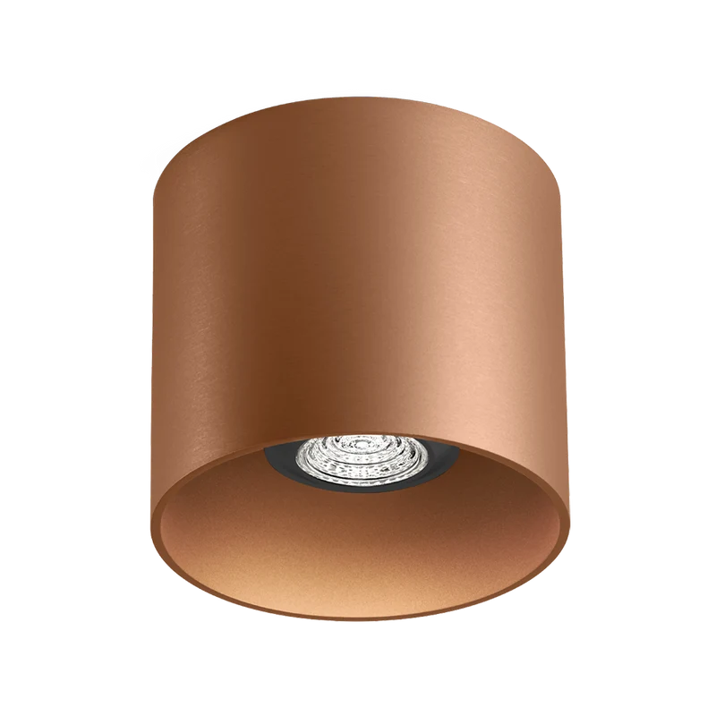 Wever & Ducré Ray PAR16 1.0 Ceiling Lamp