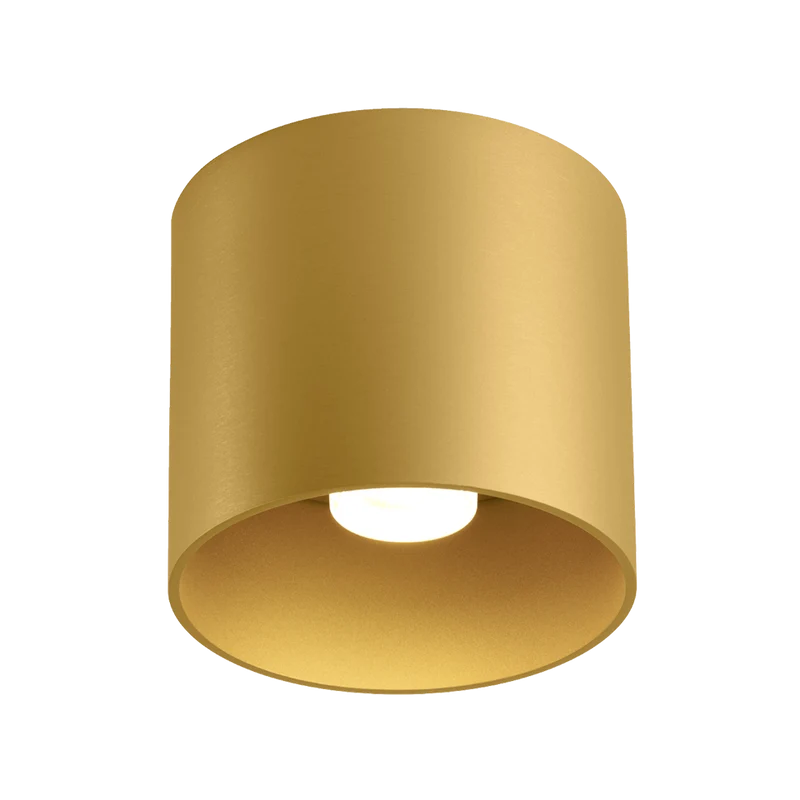 Wever & Ducré Ray LED 1.0 Ceiling Lamp