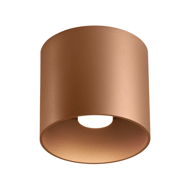 Wever & Ducré Ray LED 1.0 Ceiling Lamp