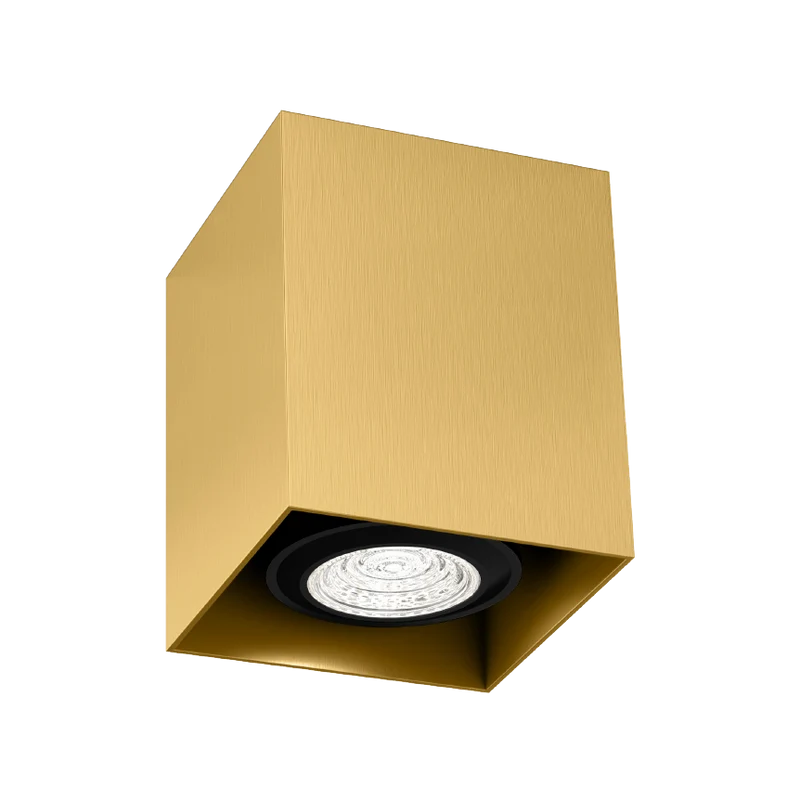 Wever & Ducré Box Mini PAR16 1.0 Ceiling Lamp