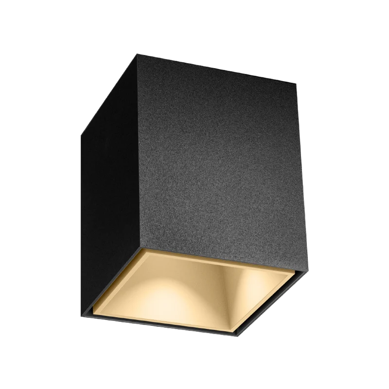 Wever & Ducré Box Mini LED 1.0 Ceiling Lamp