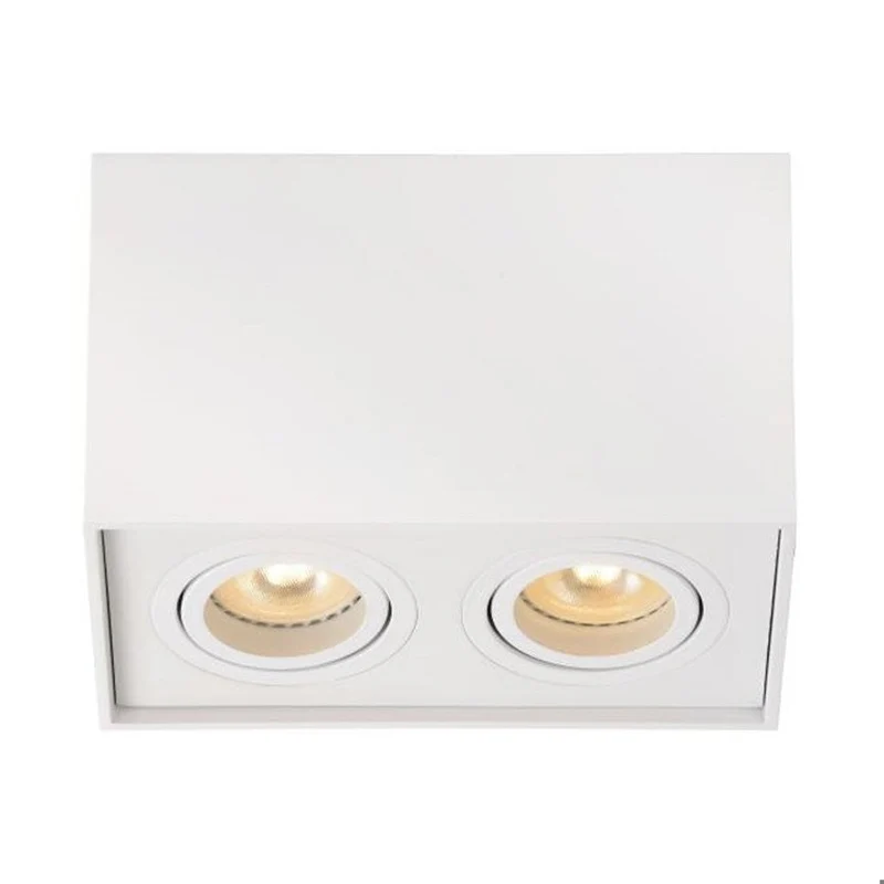 Lucide Tube 2-Light Ceiling Spot White