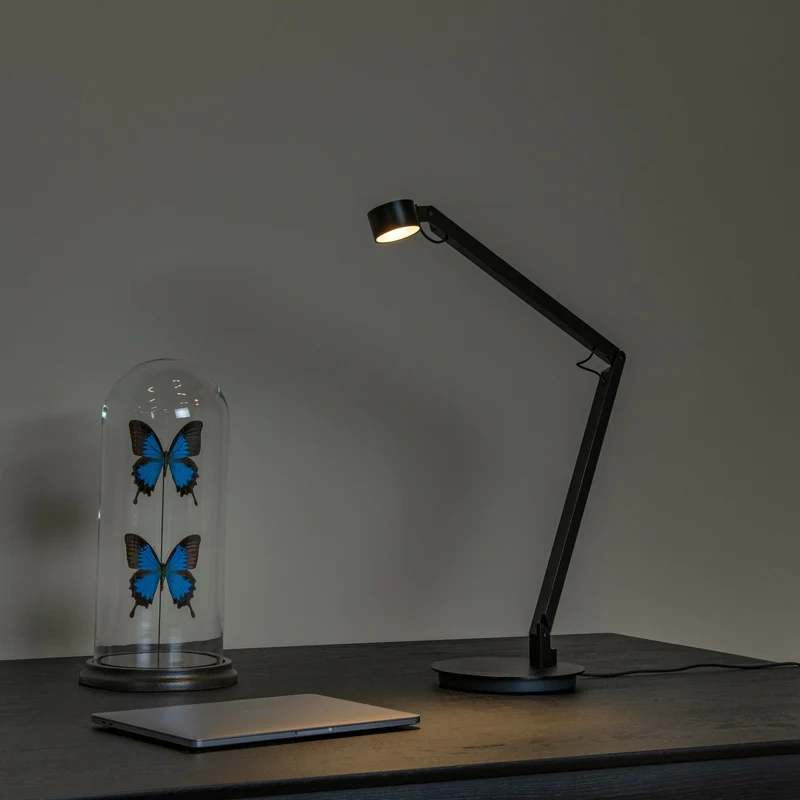 Lucide Ogden Desk Lamp