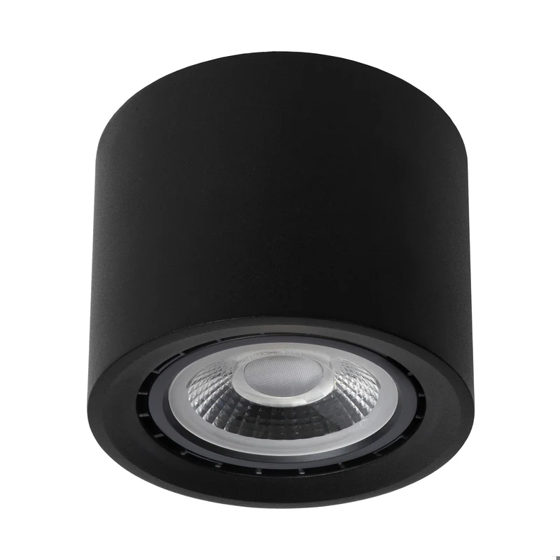 Lucide Fedler Ceiling Spot