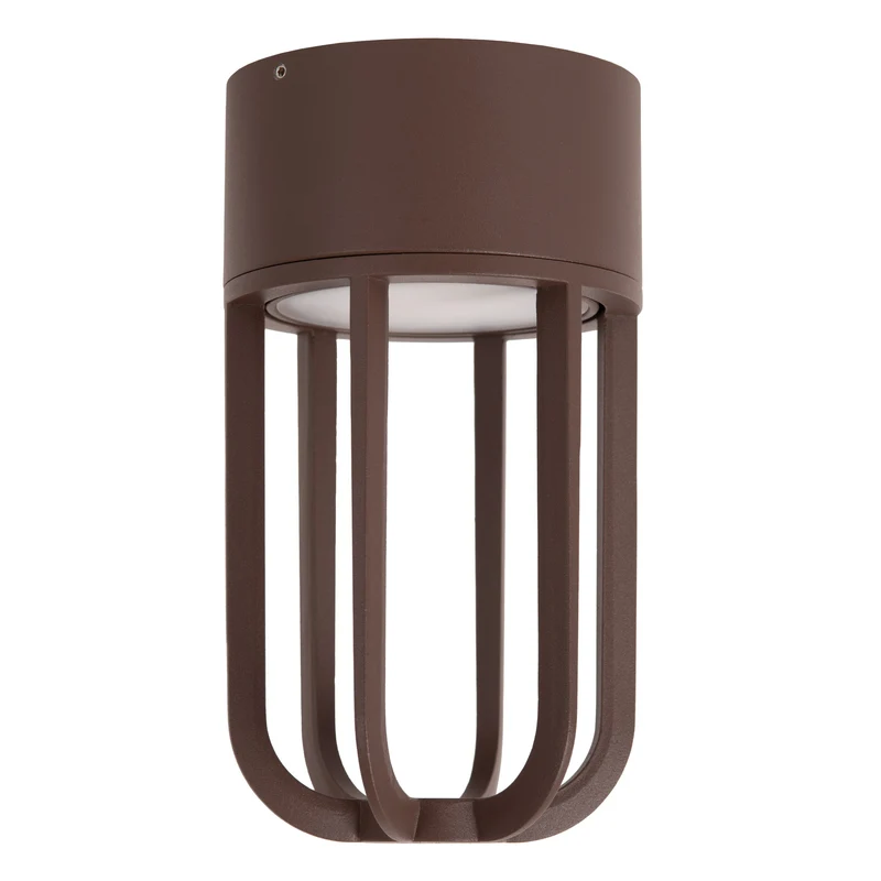 Lucide Wells Outdoor Ceiling Light