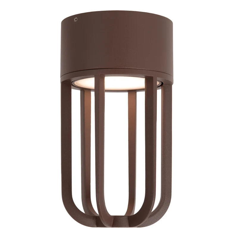 Lucide Wells Outdoor Ceiling Light