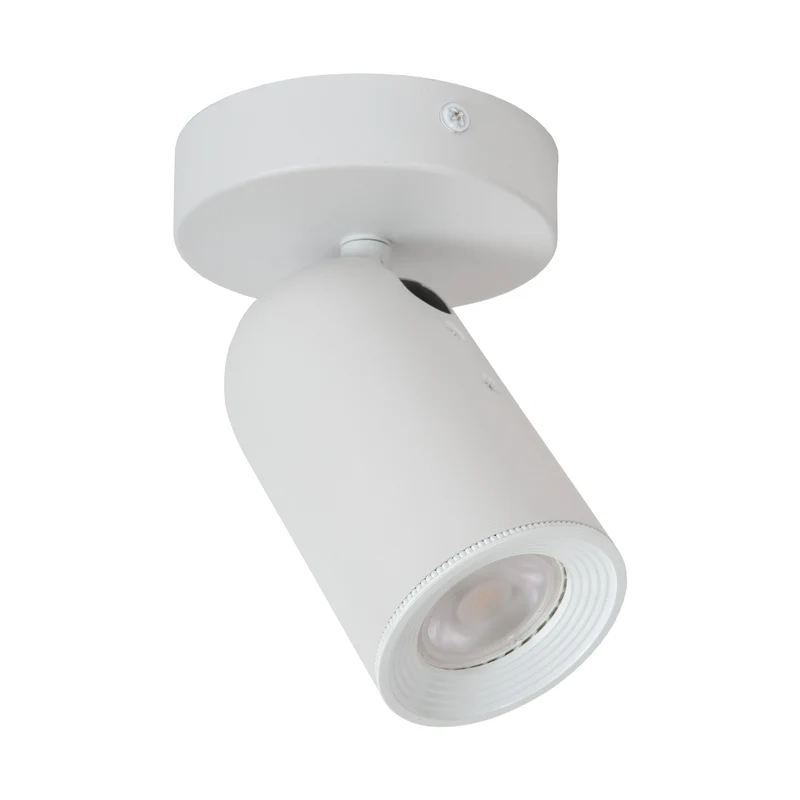 Lucide Punch Ceiling Spot