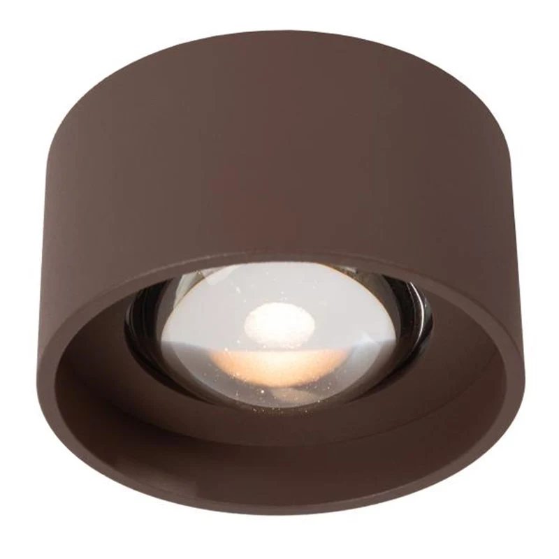 Lucide Lenz Outdoor Ceiling Spot