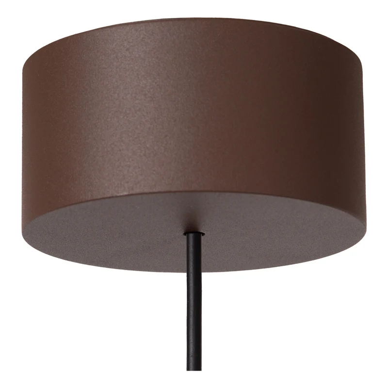 Lucide Lenz Outdoor Ceiling Spot