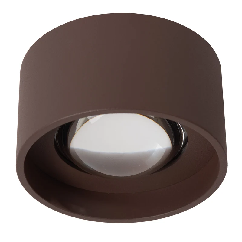 Lucide Lenz Outdoor Ceiling Spot