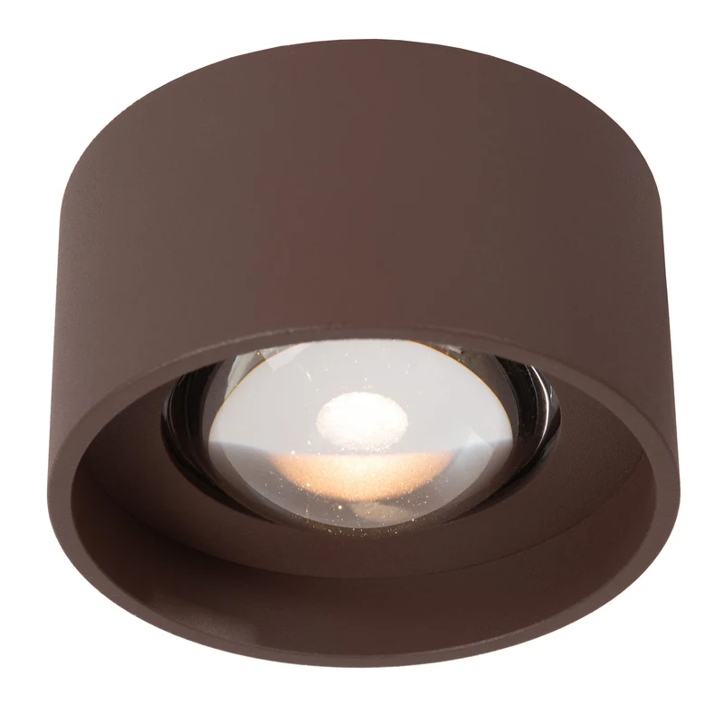 Lucide Lenz Outdoor Ceiling Spot