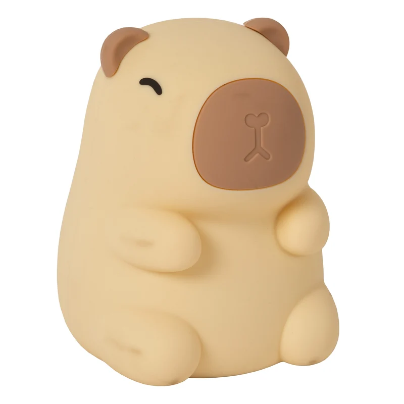 Lucide Pincha Rechargeable Night Light