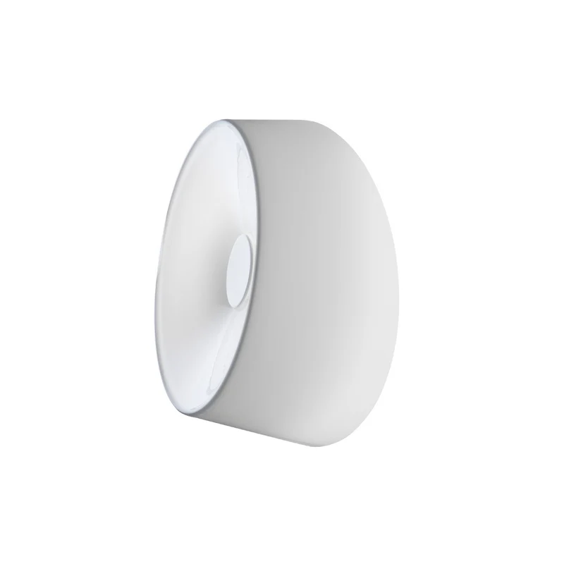 Foscarini Lumiere Wall / Ceiling Lamp