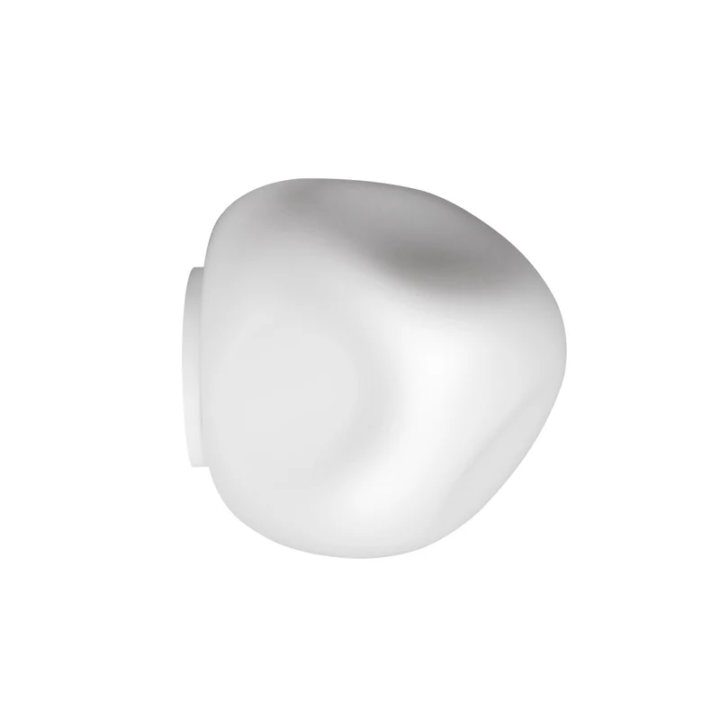 Foscarini Hoba Wall / Ceiling Lamp