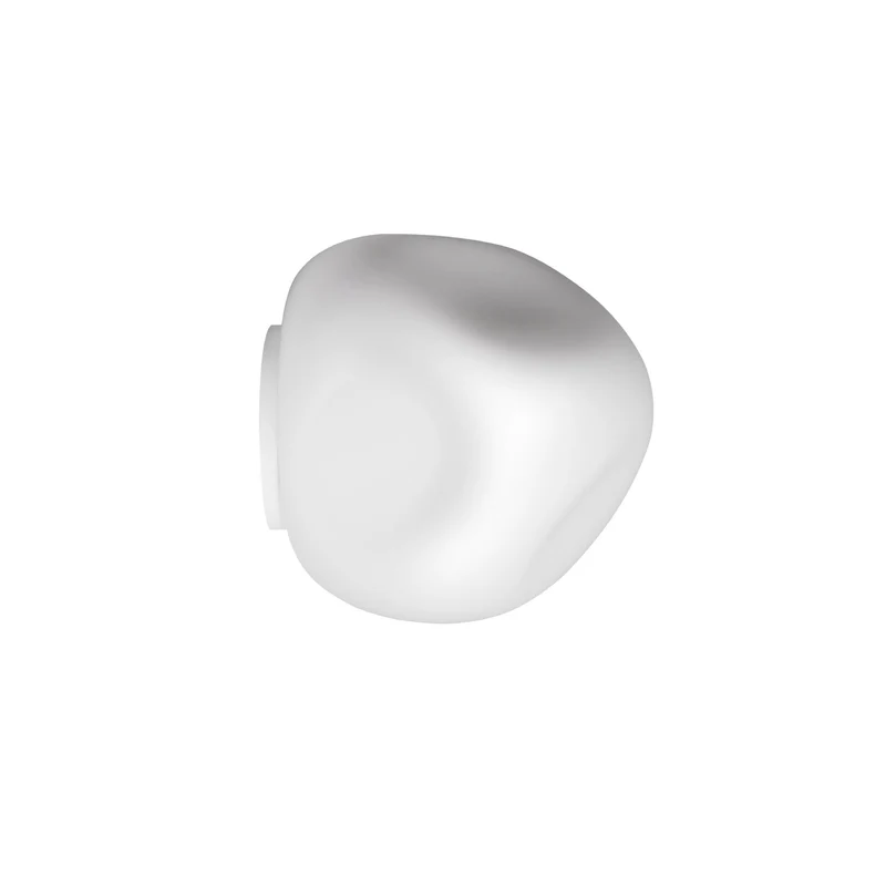 Foscarini Hoba Wall / Ceiling Lamp